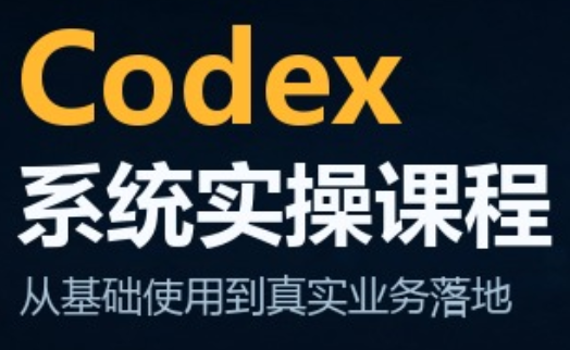 codex系统实操课程(更新10月)-超级会员网