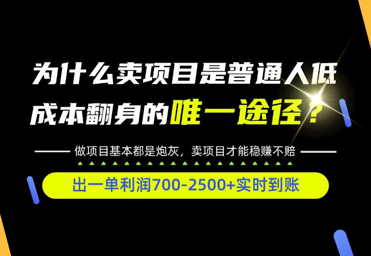 普通人如何靠互联网賺取自己的第一桶金！全类目实操型教学，看完你全都懂了！【揭秘】-超级会员网