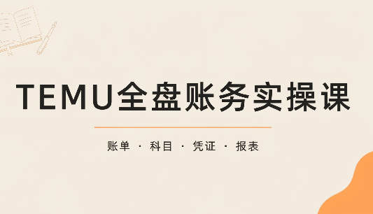 TEMU全盘账务实操课：账单导出、科目设置、利润核算-超级会员网