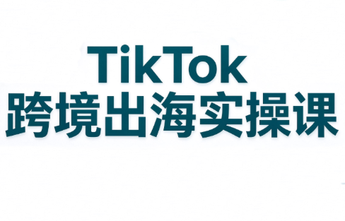 彭老师·TikTok跨境出海实操课-超级会员网