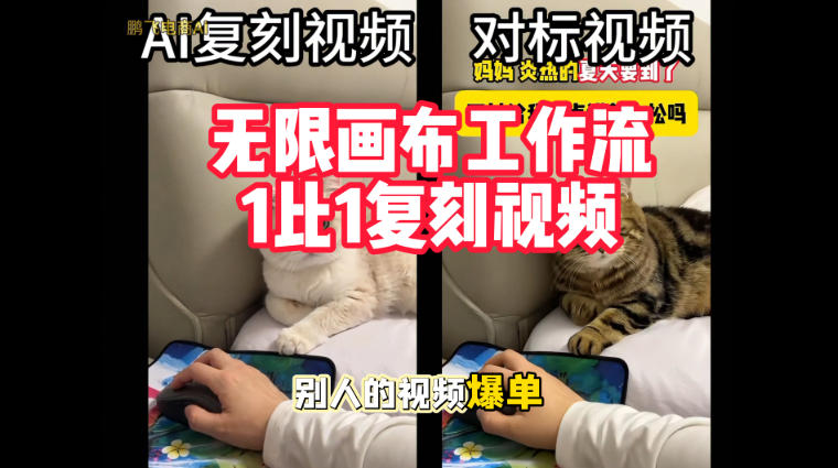 宠物带货视频复刻，无限画布工作流1比1，不用拍摄、不用布景、不用真人出镜，几分钟就能做出一条专业带货视频-超级会员网