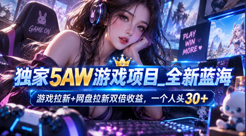 独家5AW游戏蓝海项目_游戏拉新+网盘拉新双倍收益，拉新一个30米-超级会员网