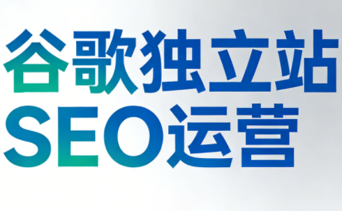 谷歌独立站SEO运营(更新2026)-超级会员网